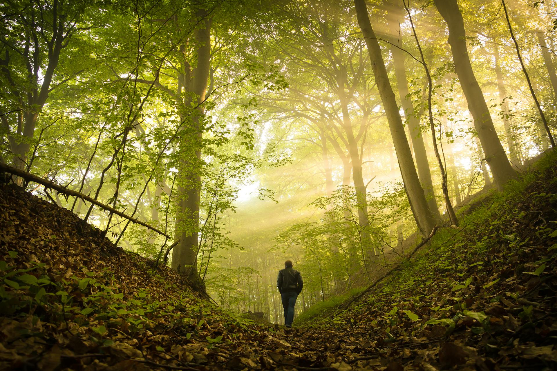 How Nature Explains Human Behavior