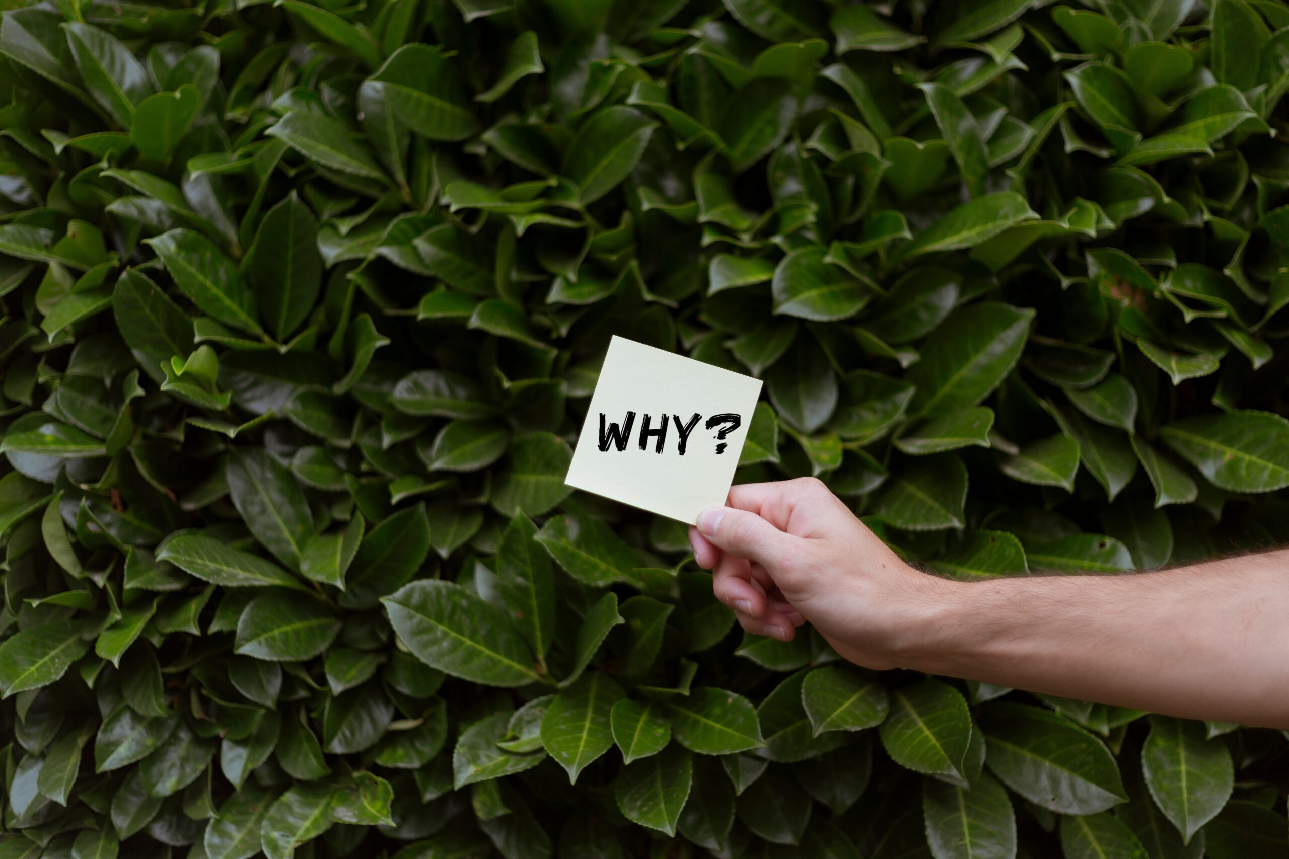 Why self-reflection is important self-growth